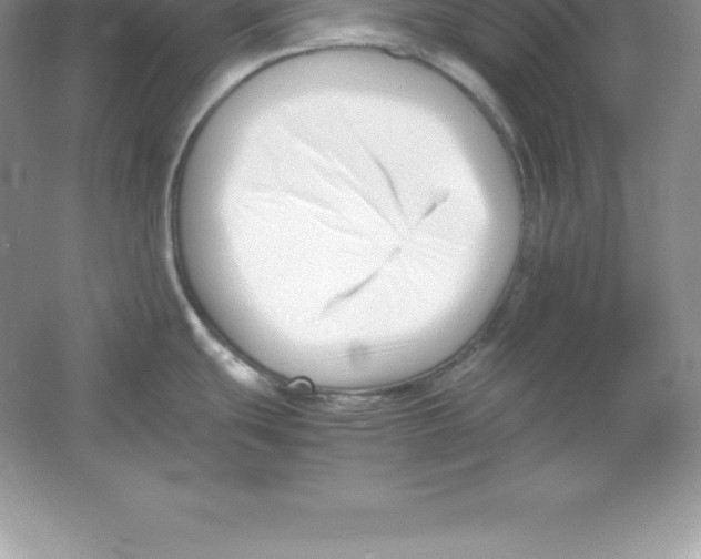 X0000052991439200508051056