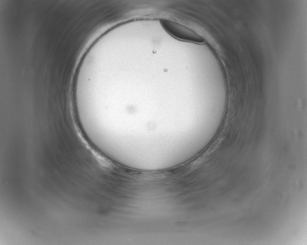 X0000052991440200508051056