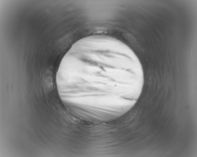 X0000052991442200508051055