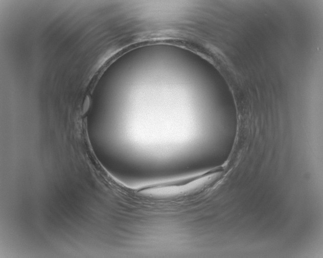 X0000052991457200508051055
