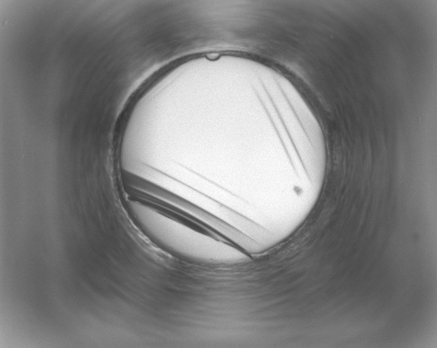 X0000052991460200508051055