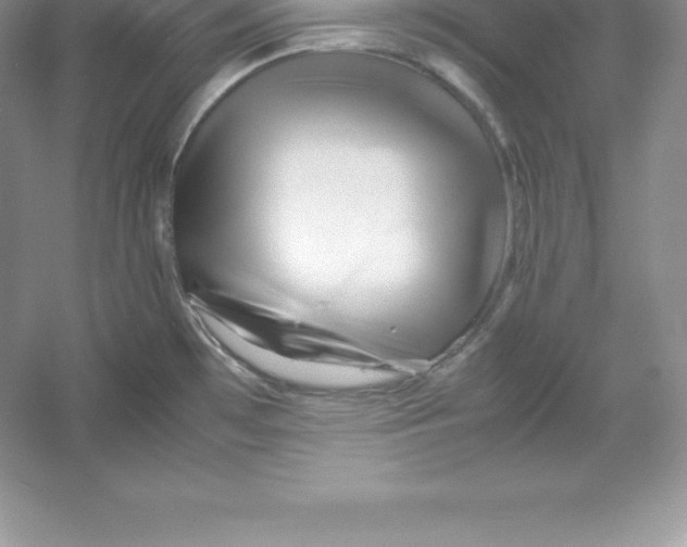 X0000052991481200508051055