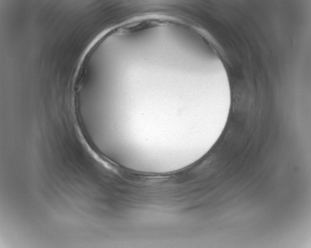 X0000052991484200508051055