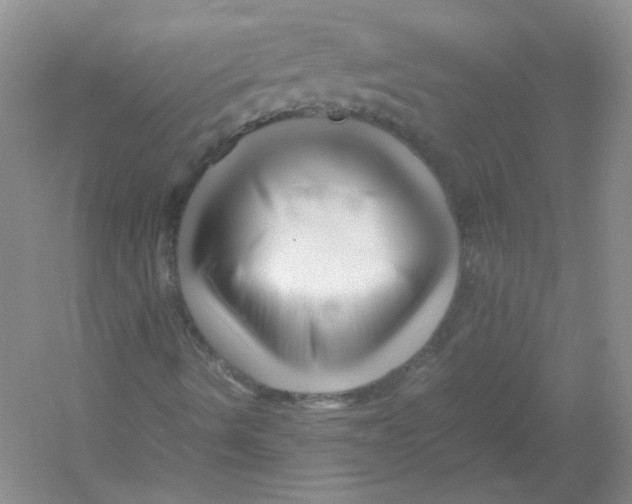 X0000052991490200508051054