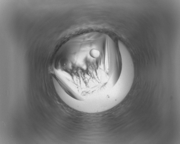 X0000052991492200508051054