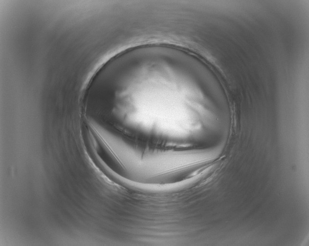 X0000052991500200508051054