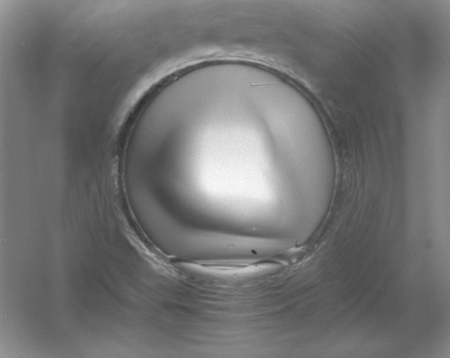X0000052991503200508051054