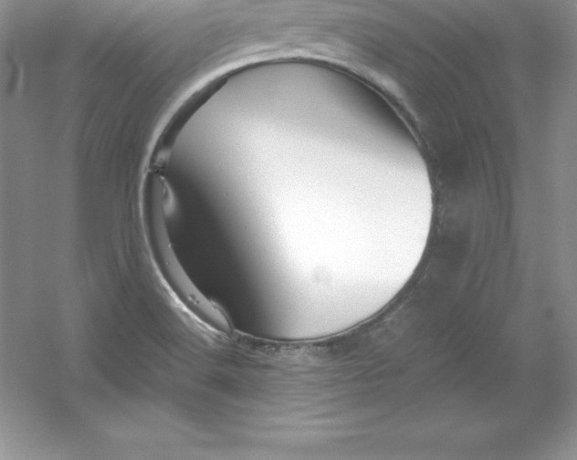 X0000052991516200508051054