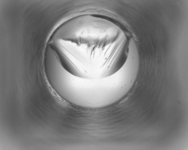 X0000052991530200508051054