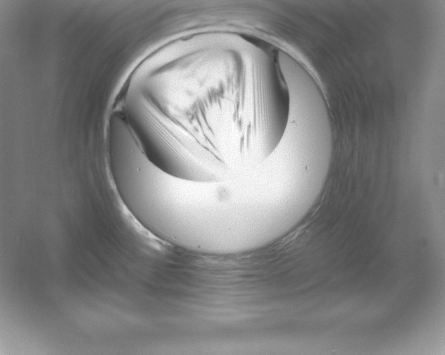 X0000052991532200508051054