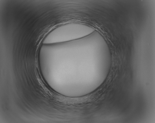 X0000053000002200507081007