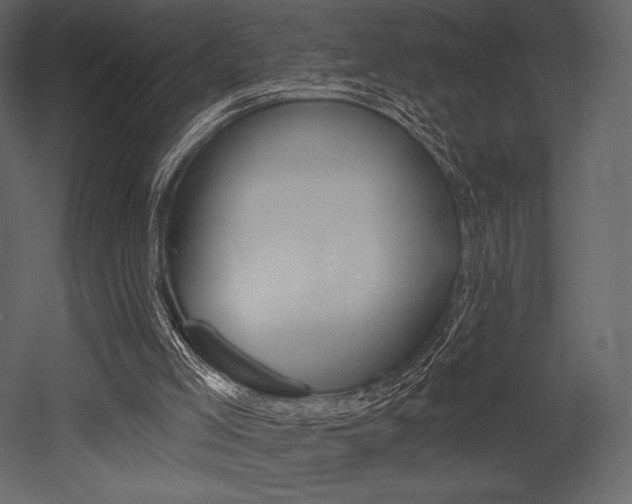 X0000053000005200507081007