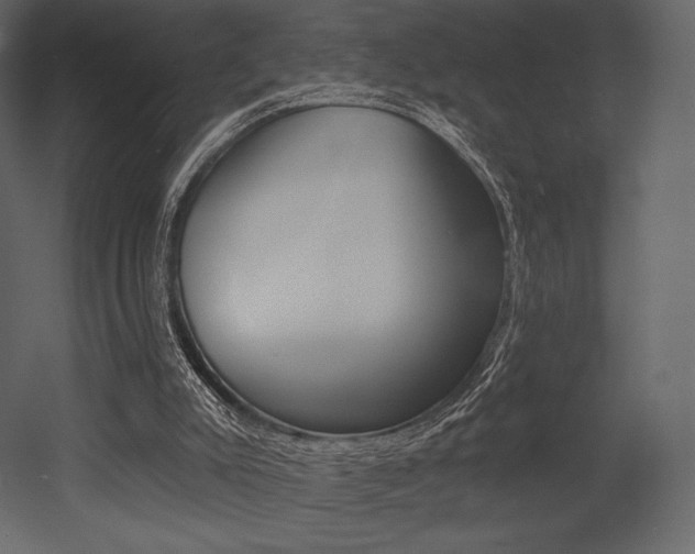 X0000053000007200507081007