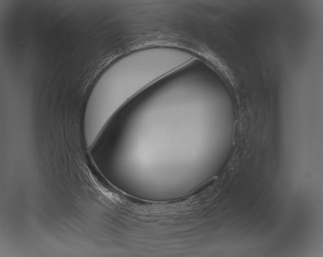 X0000053000009200507081007