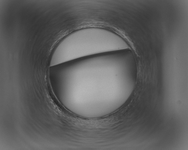X0000053000010200507081007