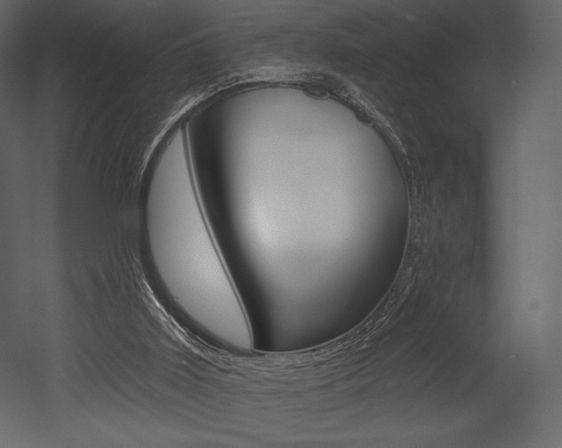 X0000053000011200507081007