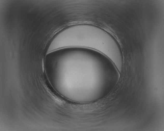 X0000053000013200507081007
