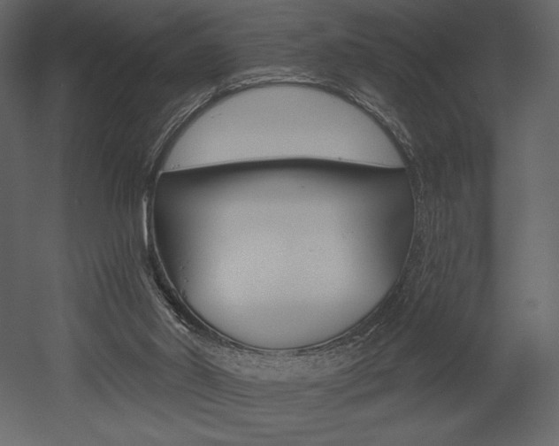 X0000053000014200507081007