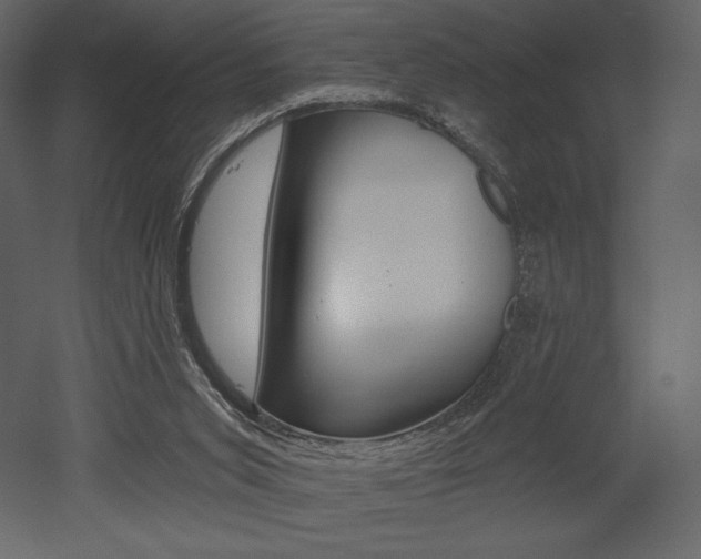 X0000053000015200507081007