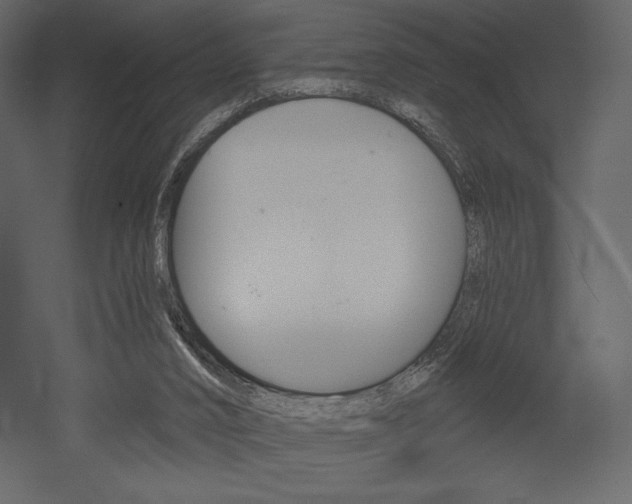 X0000053000016200507081007