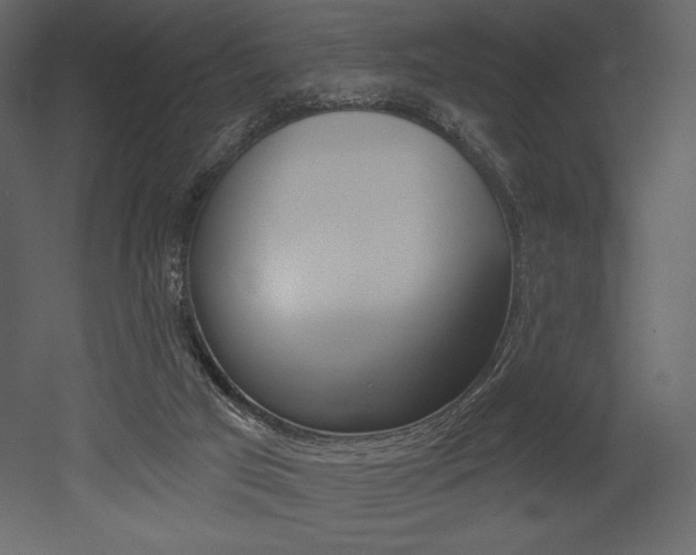 X0000053000017200507081007