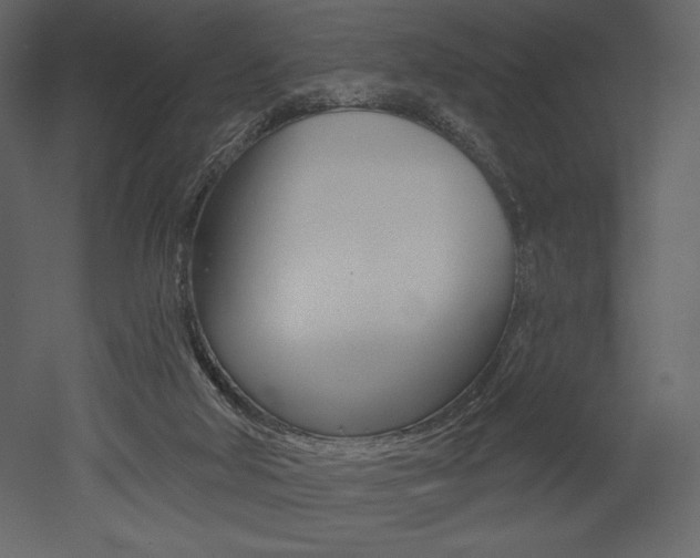 X0000053000018200507081007