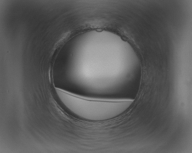 X0000053000019200507081007