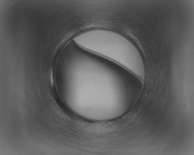 X0000053000020200507081007