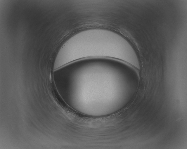 X0000053000021200507081007