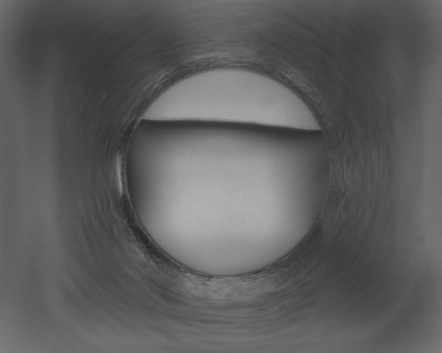 X0000053000022200507081007