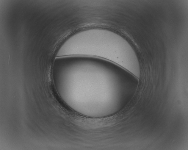 X0000053000023200507081007