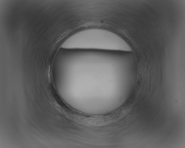 X0000053000024200507081007