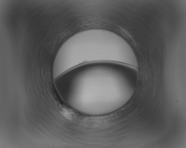 X0000053000025200507081007