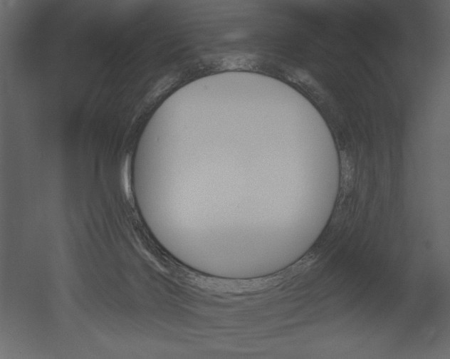 X0000053000028200507081007