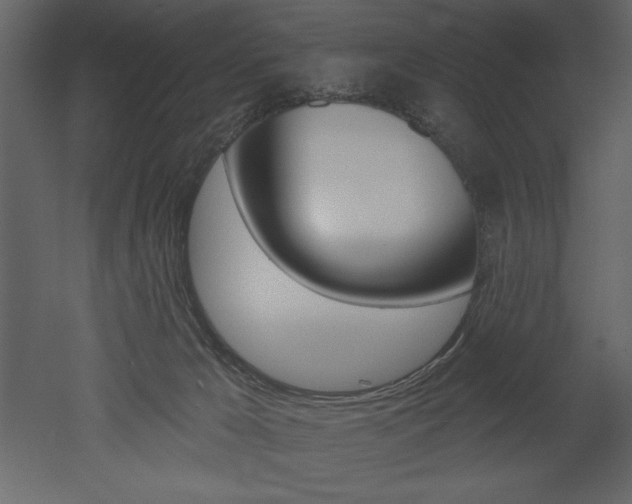 X0000053000029200507081007