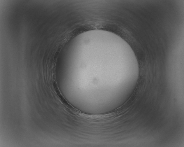 X0000053000030200507081007