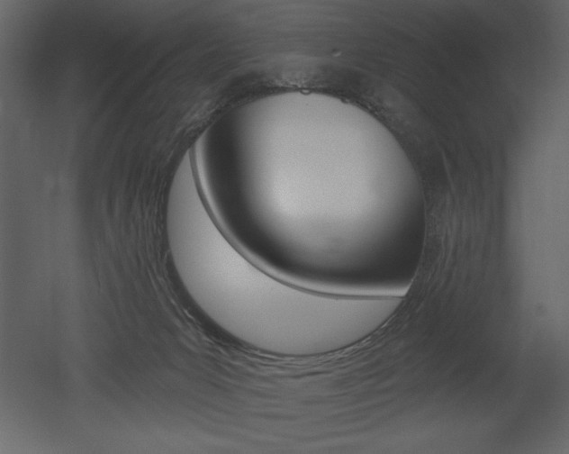 X0000053000031200507081007