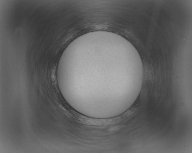 X0000053000032200507081007