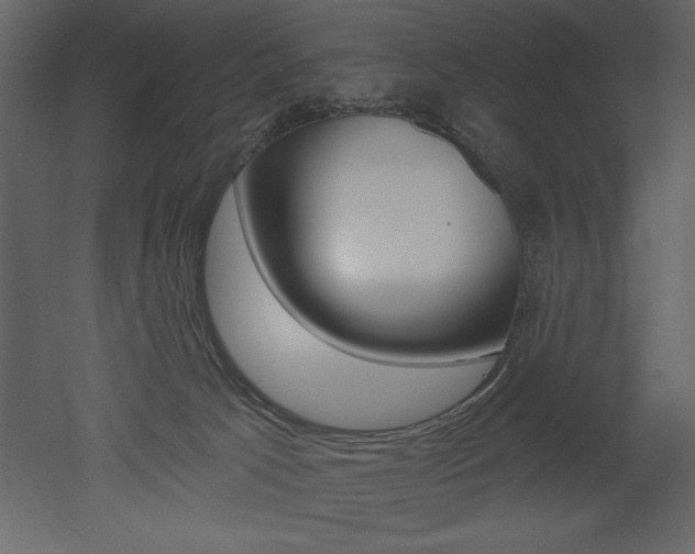 X0000053000033200507081007