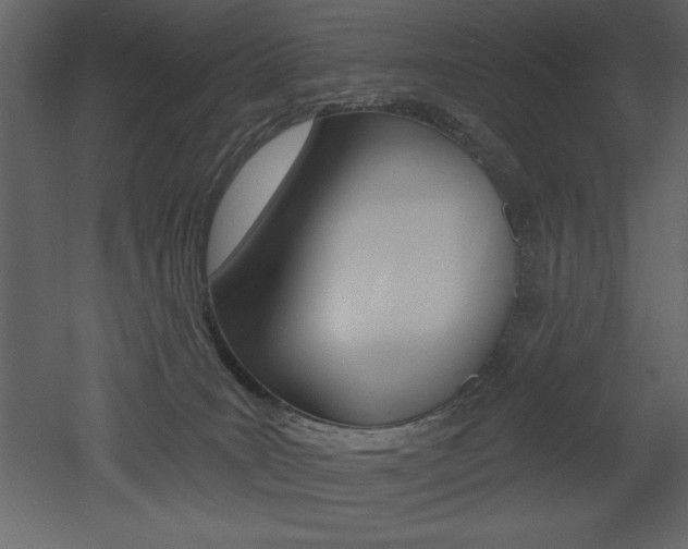 X0000053000035200507081007