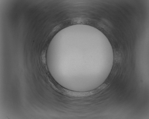 X0000053000036200507081007