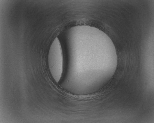 X0000053000038200507081007