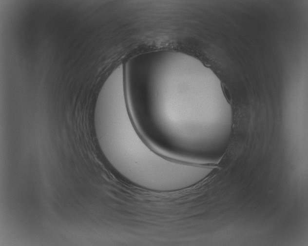 X0000053000039200507081007