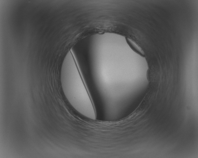 X0000053000040200507081007