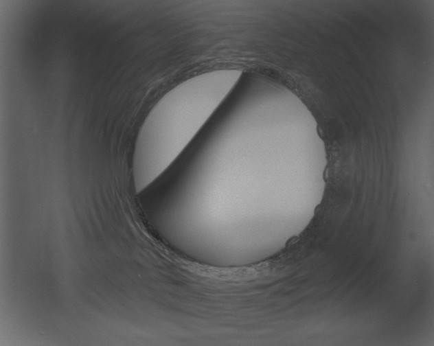 X0000053000042200507081007