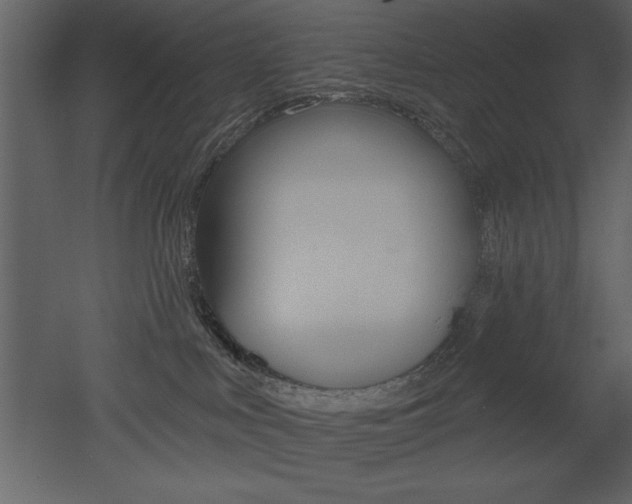 X0000053000043200507081007