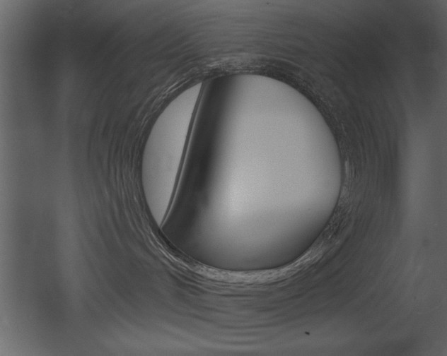 X0000053000048200507081006