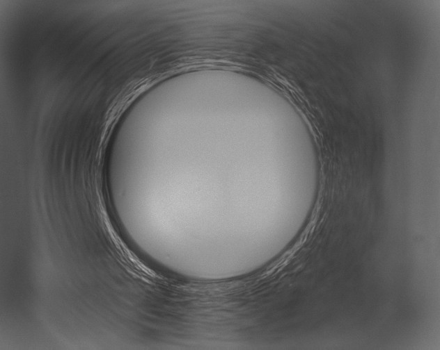 X0000053000049200507081006