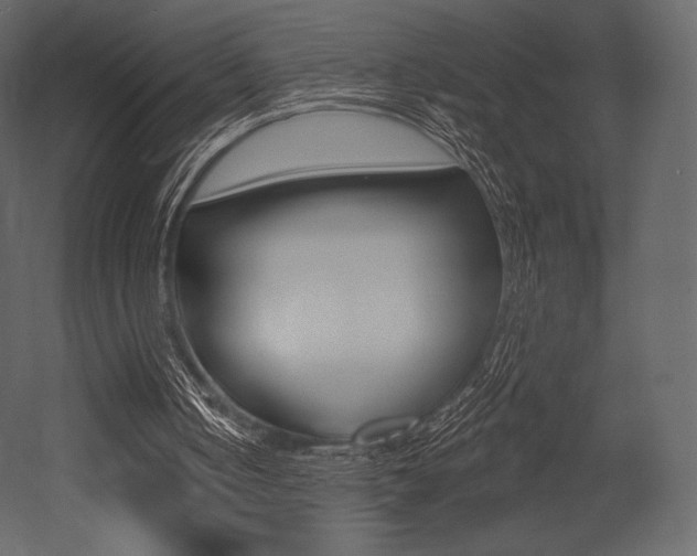 X0000053000050200507081006