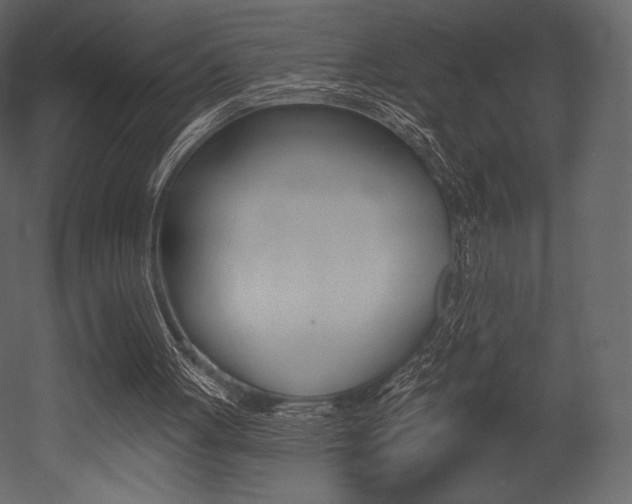 X0000053000051200507081006